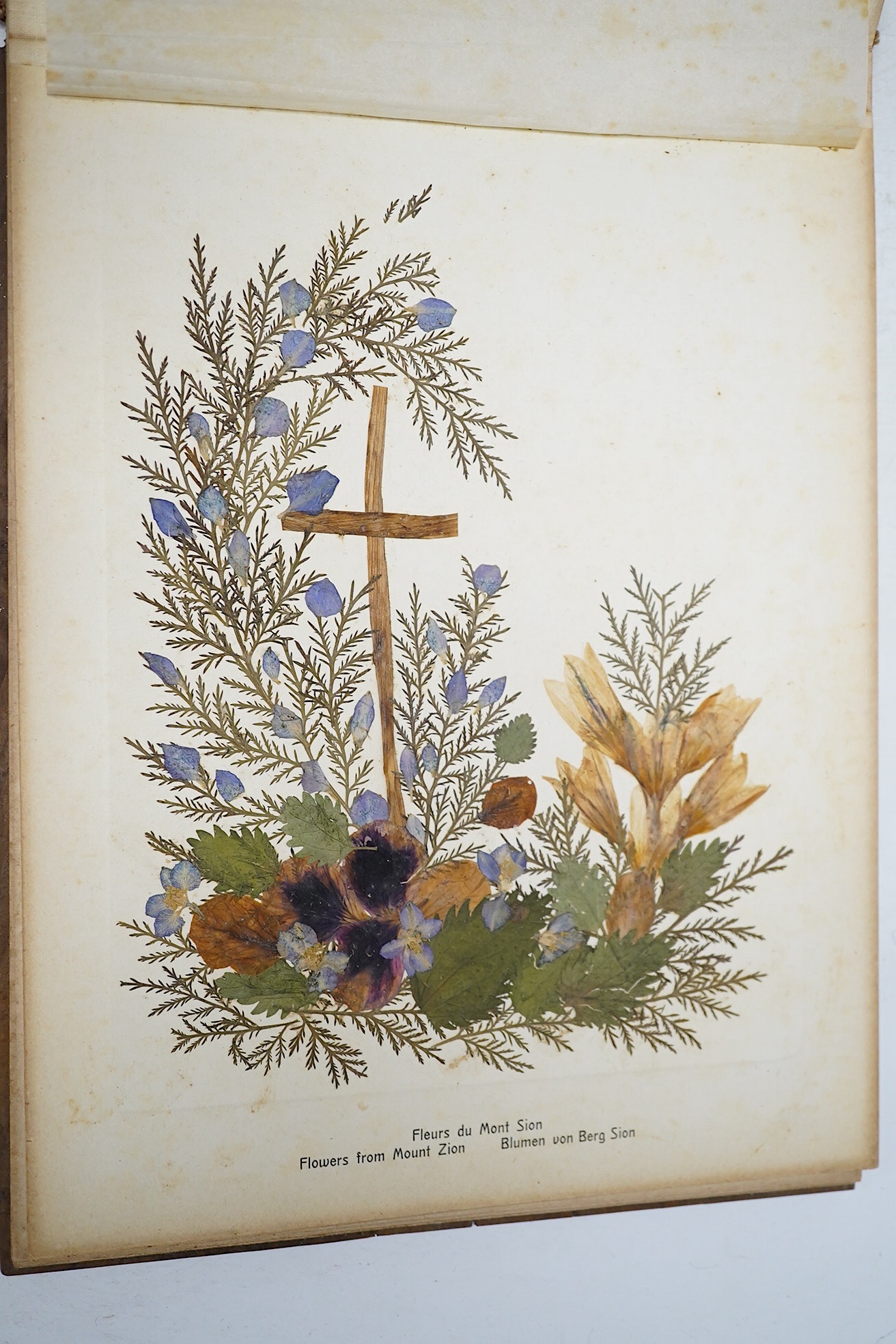 ‘Photographies et Fleurs De Terre Saint Jerusalem’, an olivewood album of pressed flowers. Condition - fair